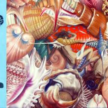 07.2010                Größe 50x110