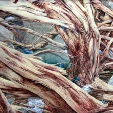 11.2011              Größe 80x120        Treibholz